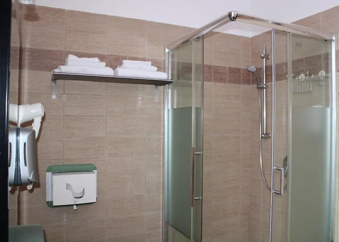 旅馆 罗马斯科特中心酒店 *